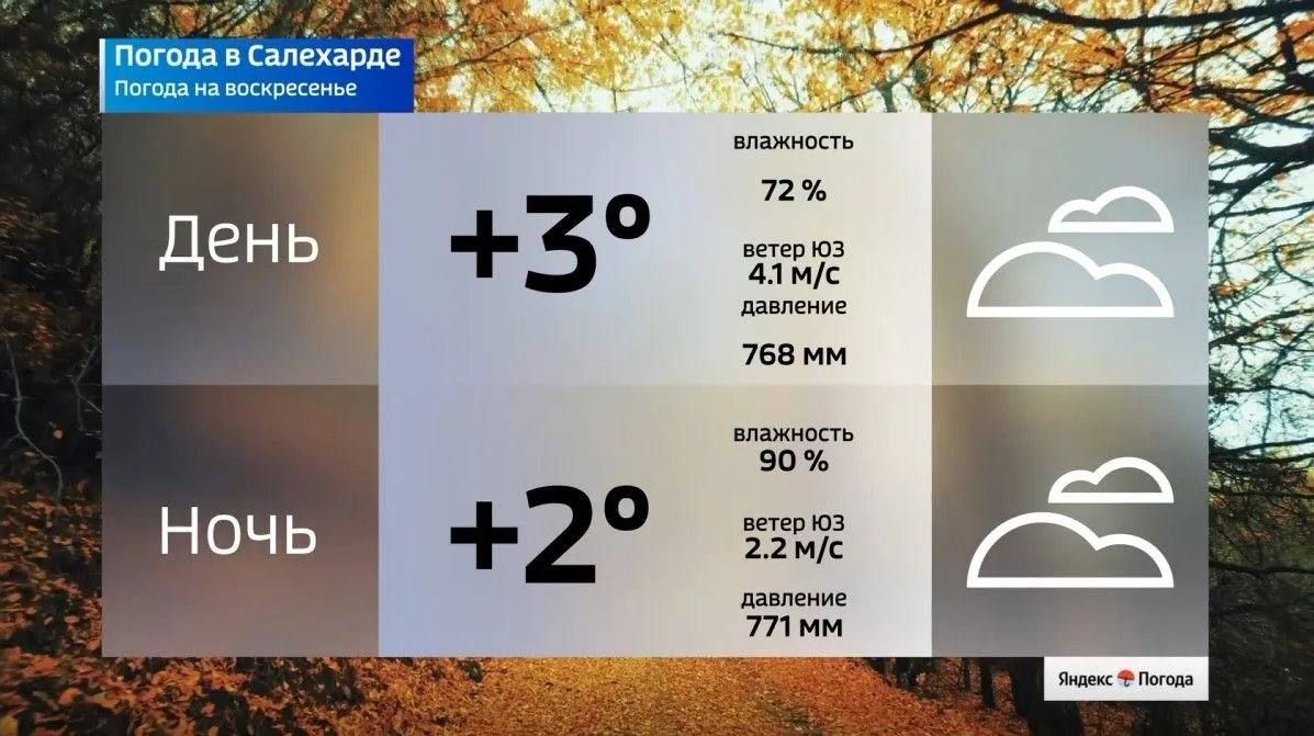 Какая погода ждет ямальцев в воскресенье Какая погода ждет ямальцев в воскресенье