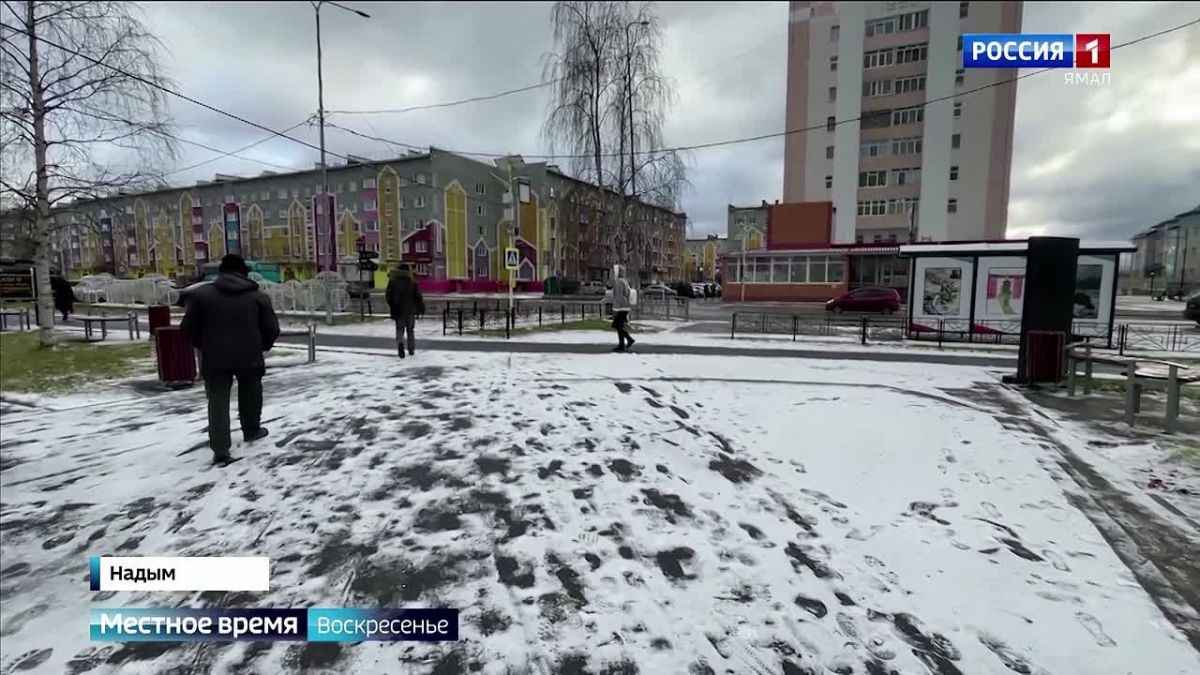 На Ямале с начала года от укусов животных пострадали уже 300 детей