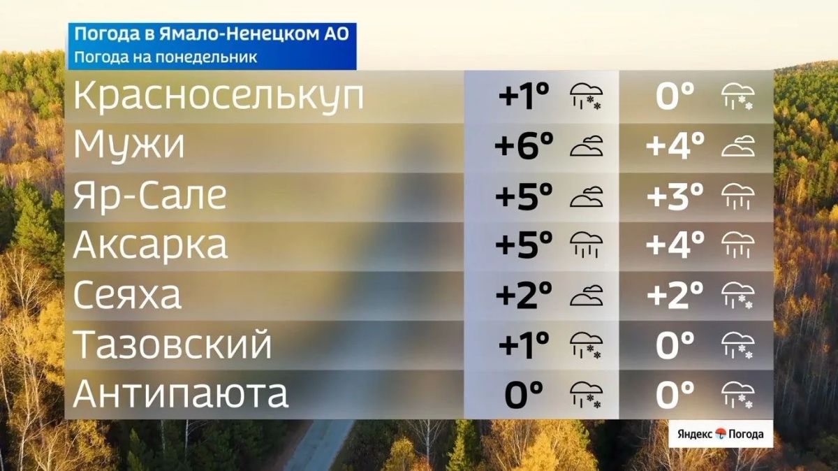 Где на Ямале теплее всего в начале рабочей недели Где на Ямале теплее всего в начале рабочей недели