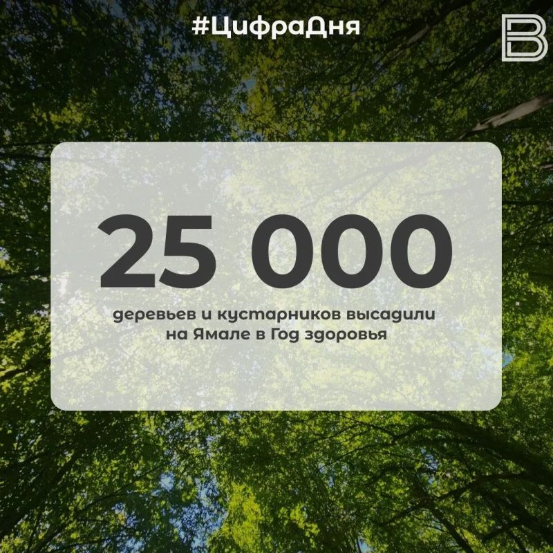 25 000 деревьев и кустарников высадили на Ямале в Год здоровья