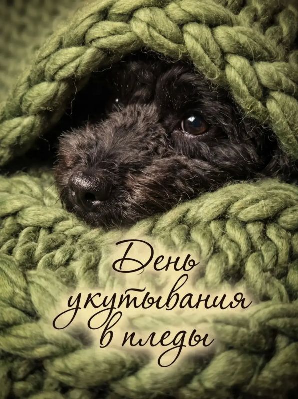 Ещё успеваем. Вы не знали, и мы, кстати, тоже, но сегодня День укутывания в пледы