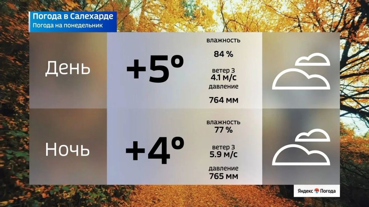 Где на Ямале теплее всего в начале рабочей недели Где на Ямале теплее всего в начале рабочей недели