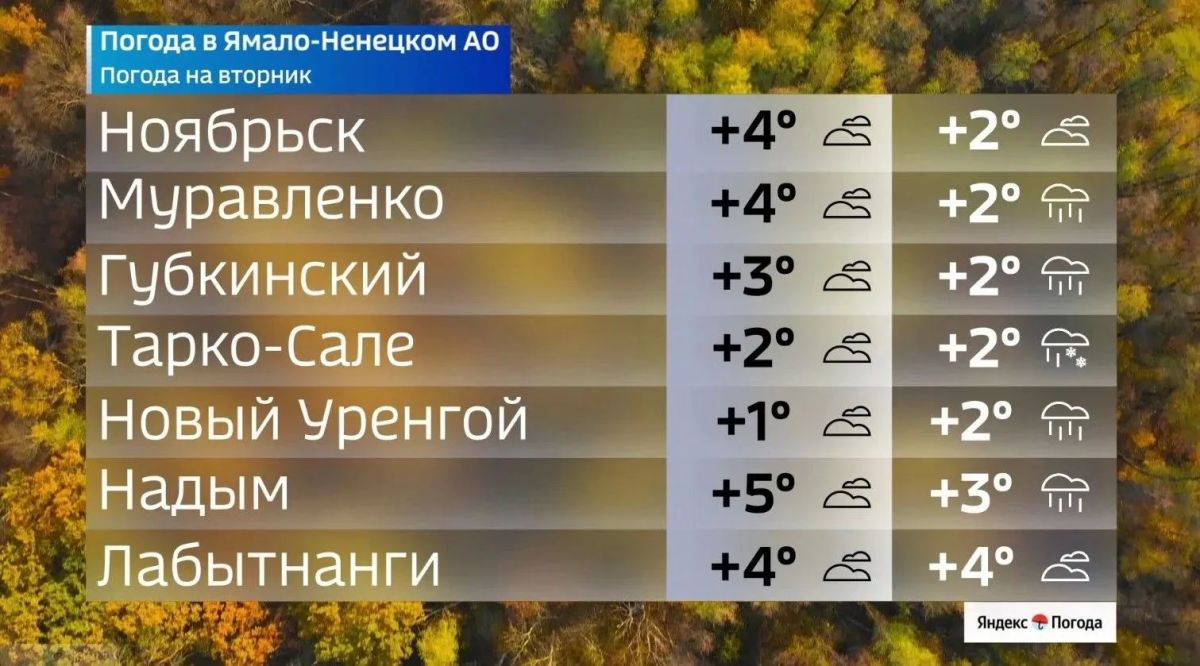 На севере — зимние морозы, а на юге еще держится тепло На севере — зимние морозы, а на юге еще держится тепло