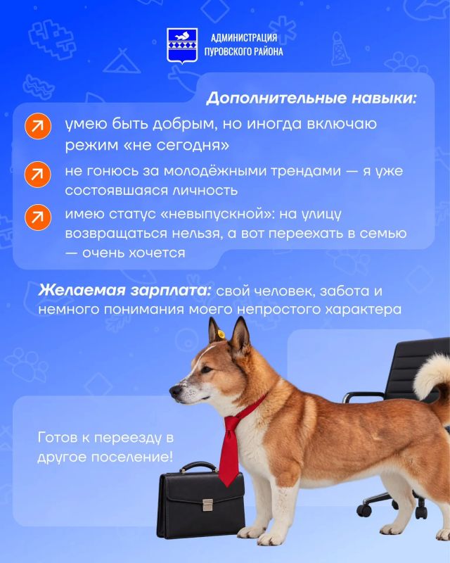 Запускаем новую рубрику — «Хвостатое резюме» Запускаем новую рубрику — «Хвостатое резюме»