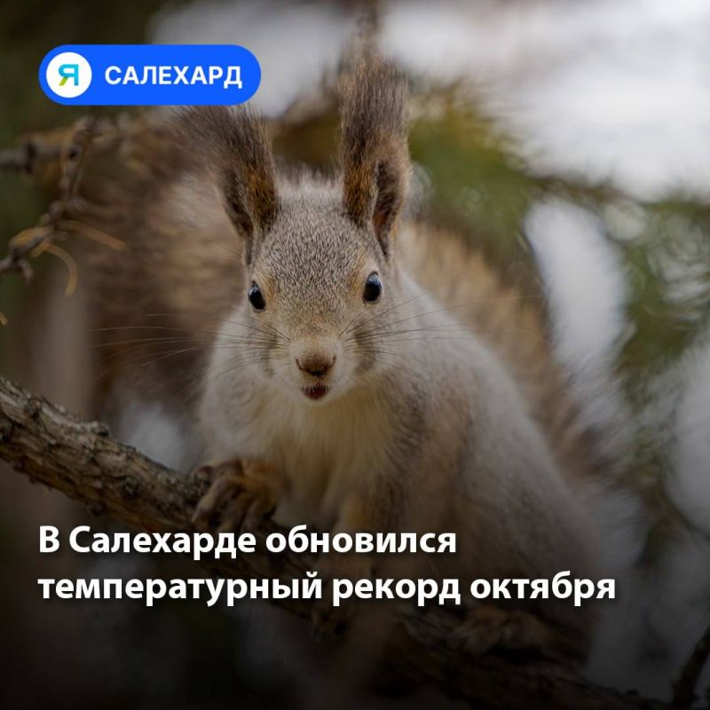 В Салехарде обновился температурный рекорд октября