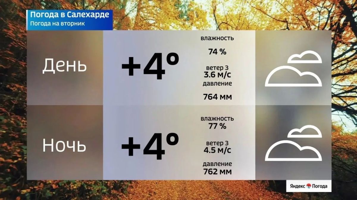 На севере — зимние морозы, а на юге еще держится тепло На севере — зимние морозы, а на юге еще держится тепло