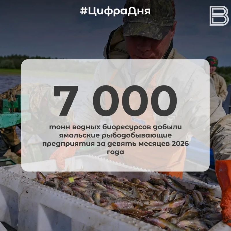 7 000 тонн водных биоресурсов добыли ямальские рыбодобывающие предприятия за девять месяцев 2026 года