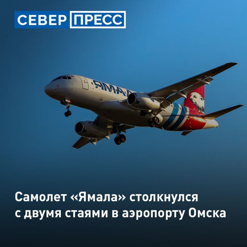 Самолет авиакомпании «Ямал» столкнулся с двумя стаями птиц