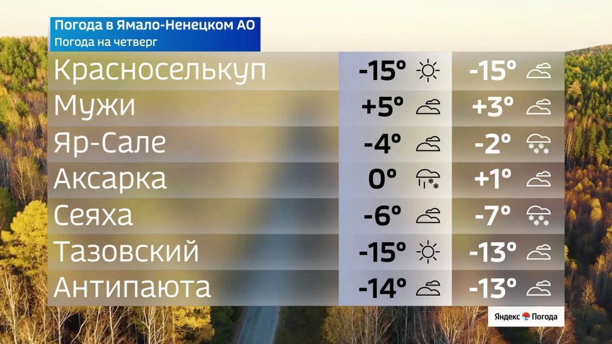 Где в округе ударят крепкие морозы в этот четверг Где в округе ударят крепкие морозы в этот четверг