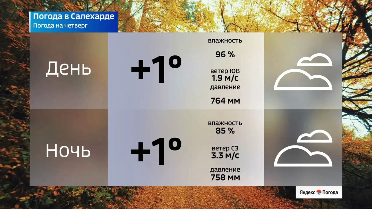 Где в округе ударят крепкие морозы в этот четверг Где в округе ударят крепкие морозы в этот четверг