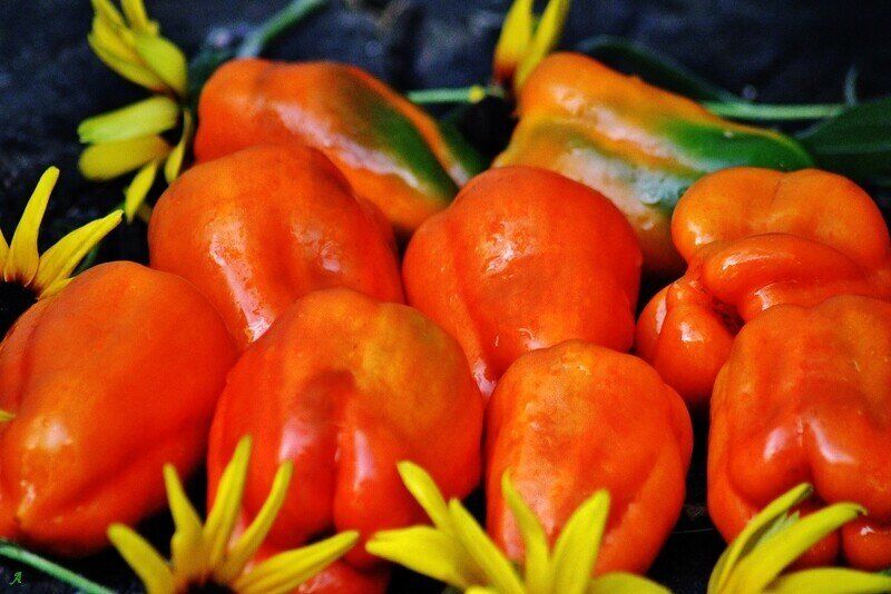 ������� ����� '�����': ��� �������� ������� ������ ���� ��� ������