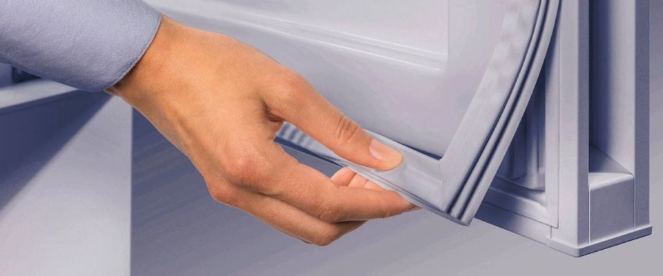 ������ ����� ��������� �� ������������� ������������: ������ �����