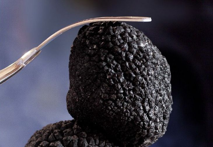 Забудьте про трюфели: этот лесной секрет даст тот же аромат