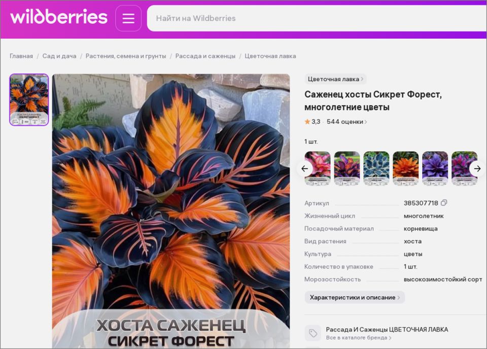 Как не стать жертвой мошенников при покупке хосты: советы для садоводов