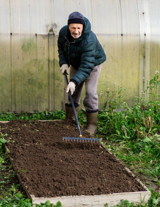 Как правильно спланировать грядки для максимального урожая на даче