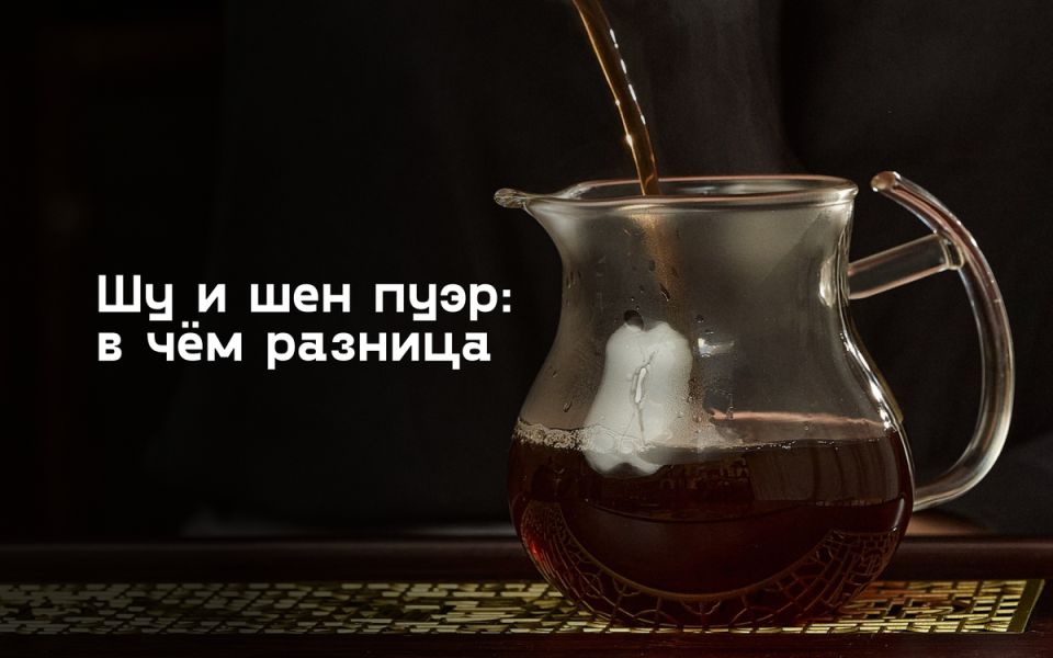 Шен и Шу Пуэр: что скрывают две грани одного чая