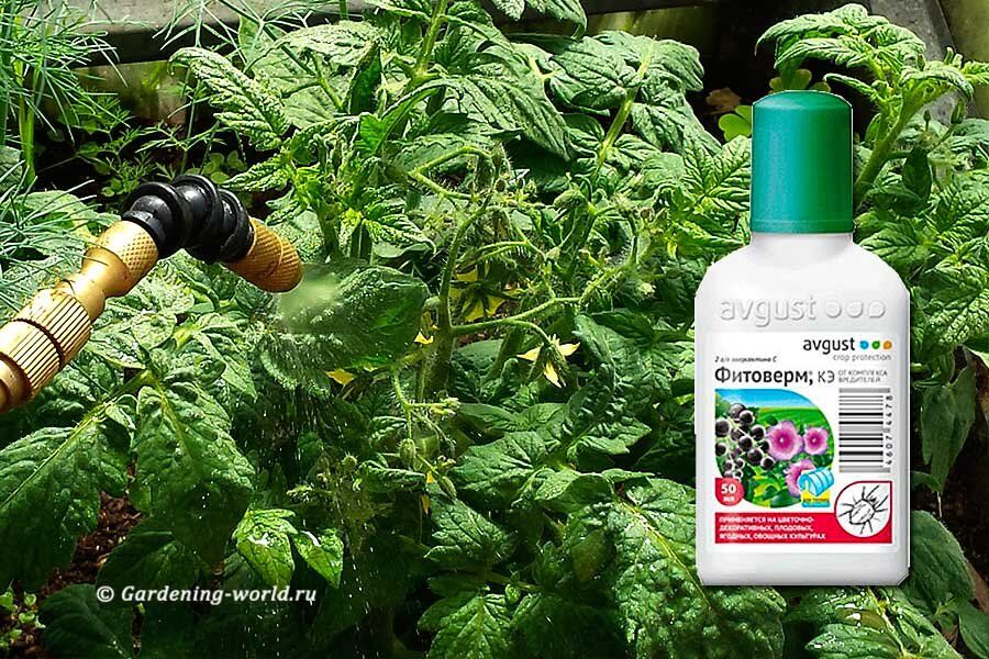 Фитоверм: секреты эффективной обработки растений
