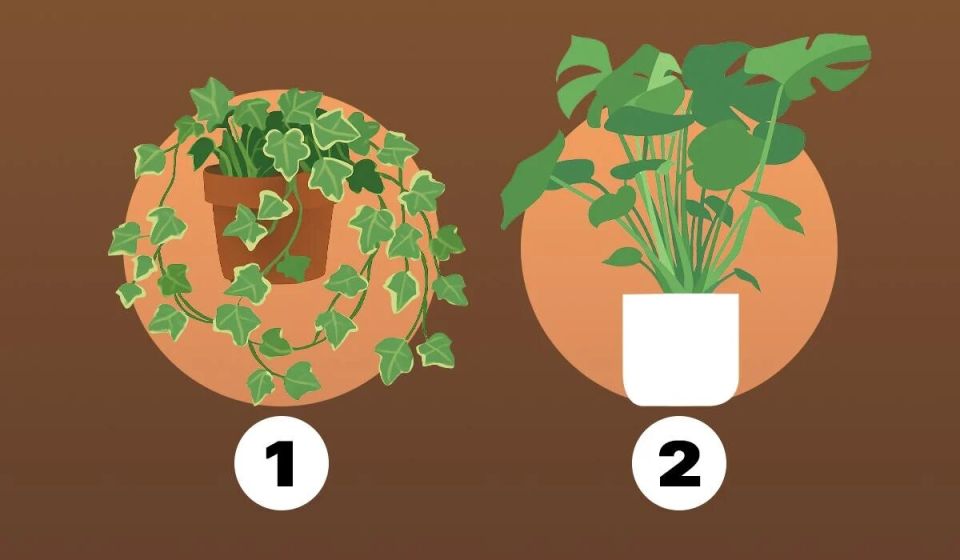 ��� ���� ��������� ������������ ����� �������� ��������