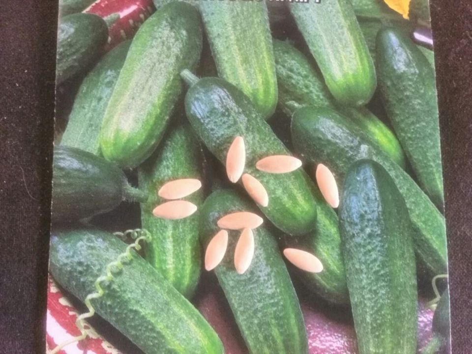 ��� ��������� ������� ������� ������� � �������� ��������: ���������� �����