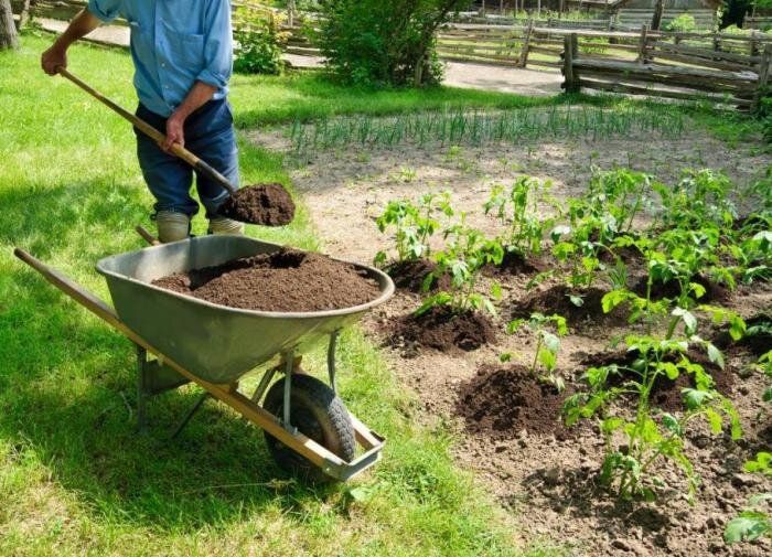 ��� �������� ������ �� ���������: ������ ��������