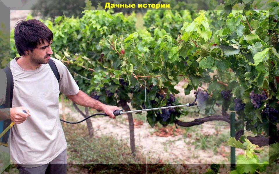 ���� �� ���������� ������: �������� ��� �������� ������