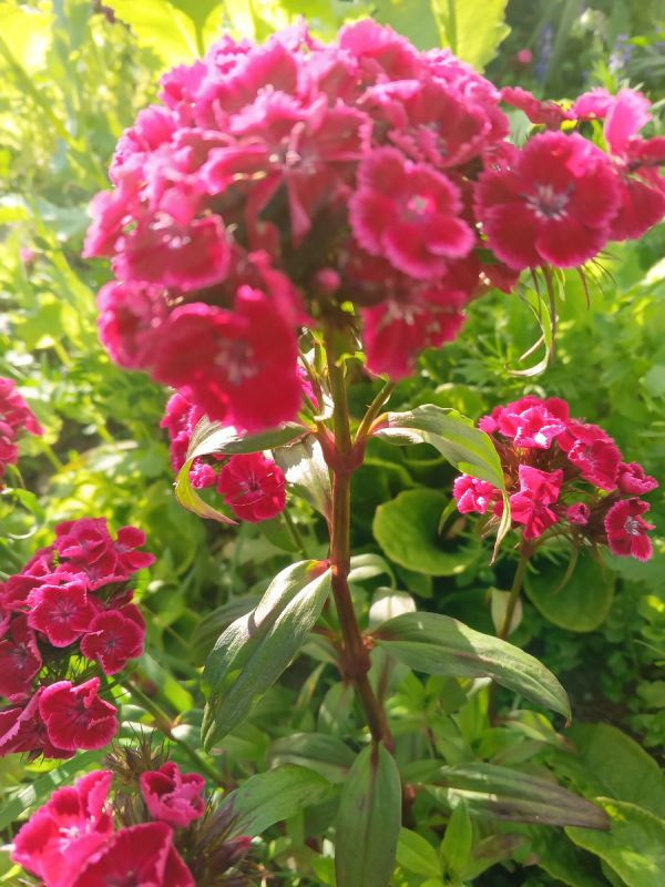 ������� � ����� �����: ��� �������� ���� ��������� � �������