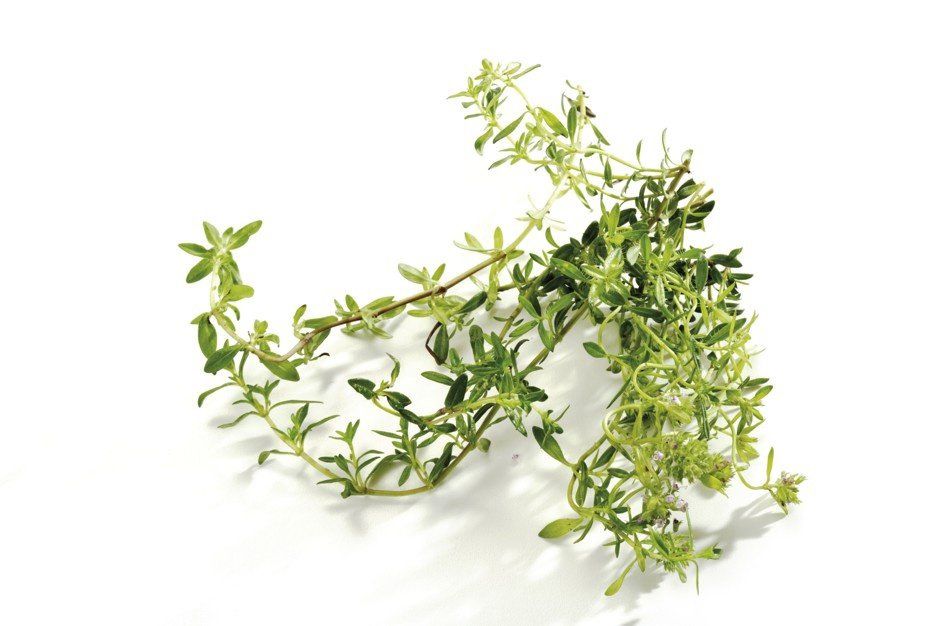 ������ � �������: ������ ����� �������� � ���������