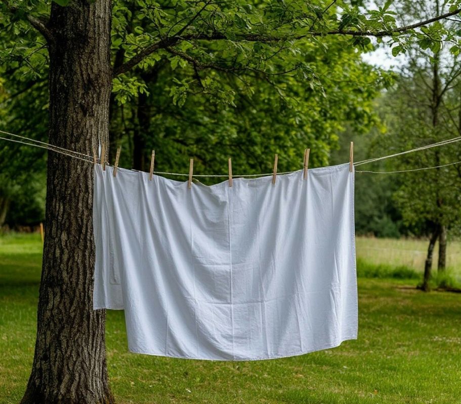 ��� ������������ ��� � �������� ���: ������� ����� �� ���������� ������