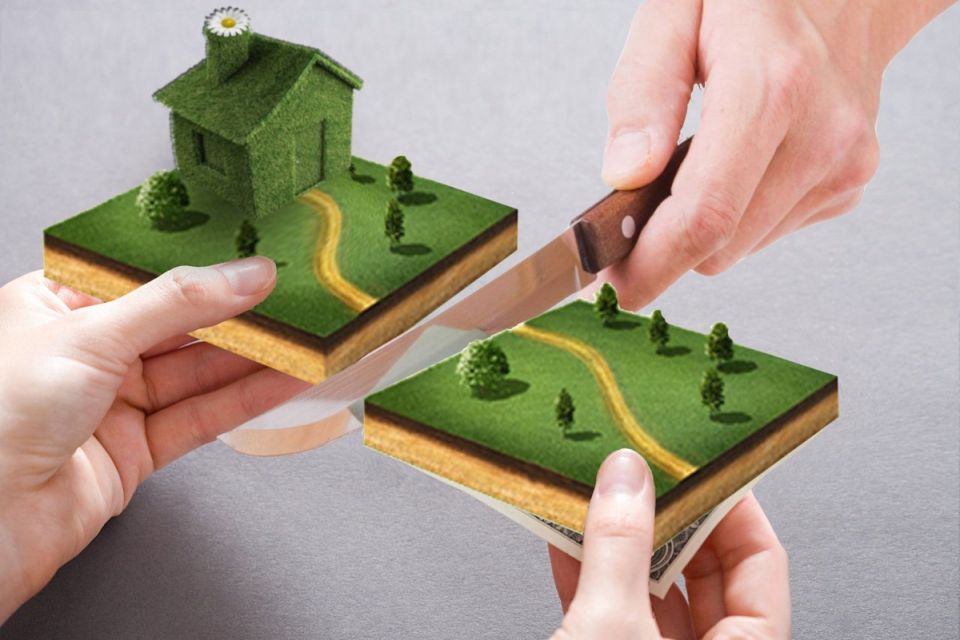 �������� ������ ��������� ��������: ��� �������� ���� ����� � �������� �����������?