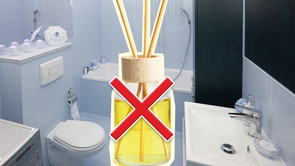 � ������� ����� ������� ������� � ��� ����������: �������� � ������� ��� ���