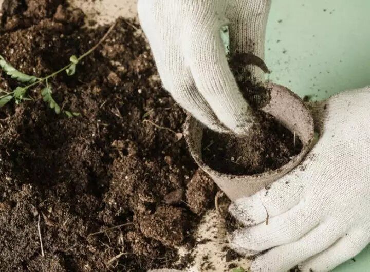 Лунный календарь садово-огородных работ с 10 по 16 января