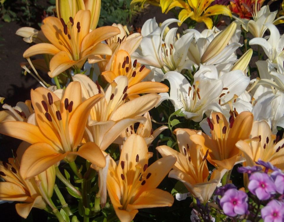 ����� ��� ��������� ����: ��� ������� ����� � ��������� �� ����