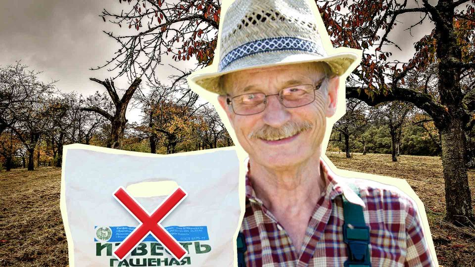 ������� ������� ������ �� �������: ����� � ���� ���������� ������ �����