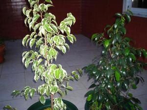 ����� ����������: ������� ��������� ����� � ����������� ��� ������ ����