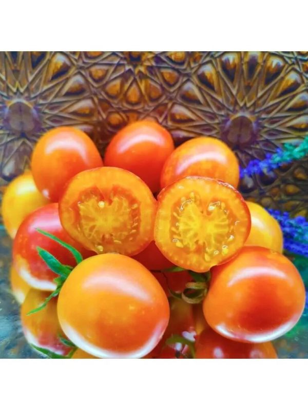 ����� ����� �����������: ��������� ������ ��� ������ �����