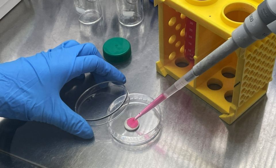 ��� ����� ��������� ������� ��������: ������ � ���� �� �����������