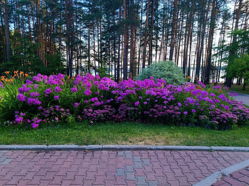 ����� ���� ������ � ������ ������������