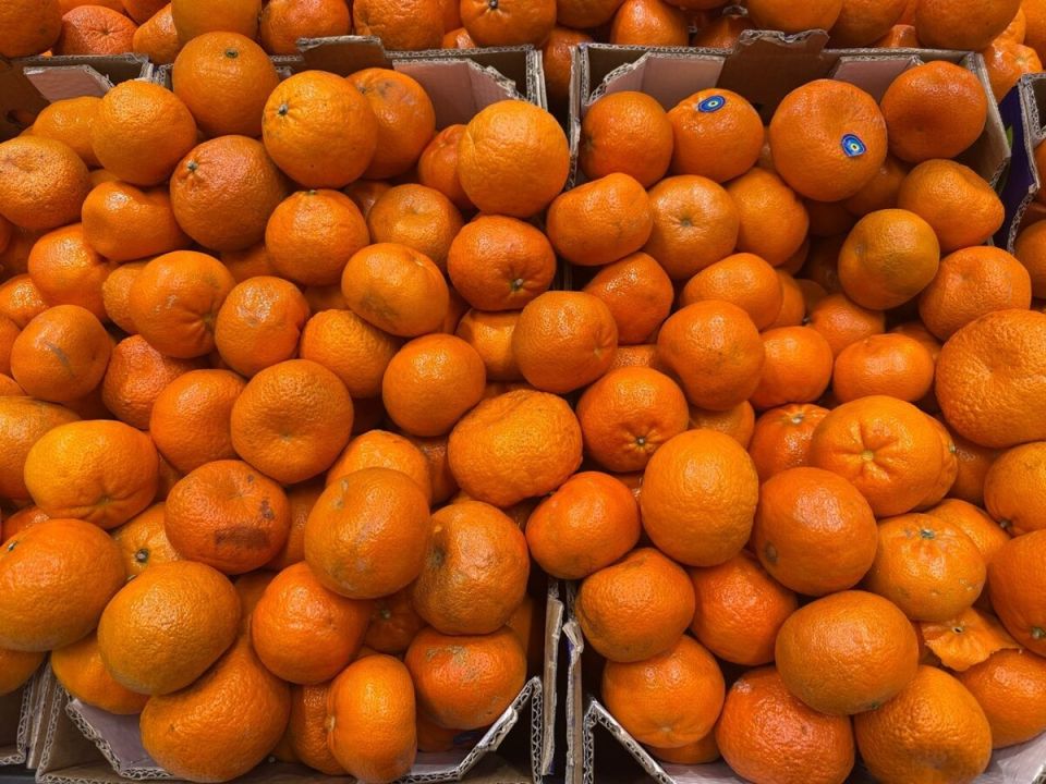 ��� ������� ������� ��������� ��� ��������: ������ ���������