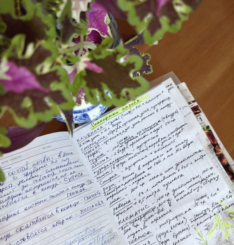 Годовой график настоев для органических подкормок по фазам роста растений