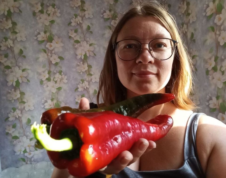 Можно ли вырастить перец из семян магазинного плода и получить похожий урожай