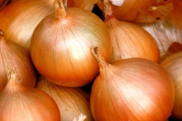 ��� �����: ������� ������� ��� ���������� �������