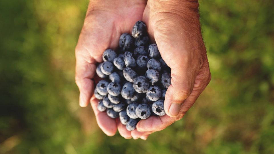 �������� �� ����� ������������: �� �������� ������ ��� �������� 3 ����