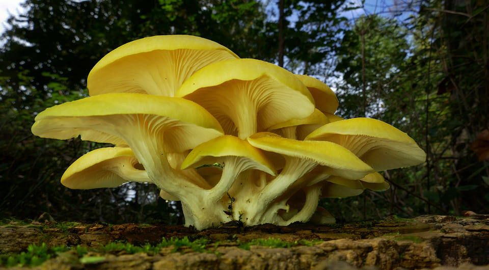 ��� ���������� �������� ������� ������ ������ ��� � ����� ��� �����