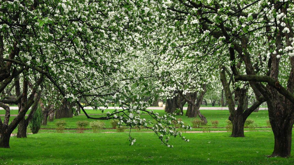 ��� ��������� ������������ ���� ��� �������� � �������� ������