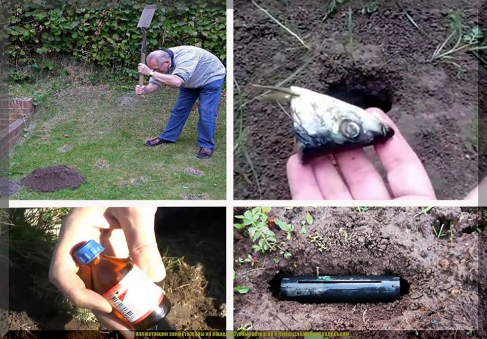 ��� ���������� � ������� �� ������ �������: �������� ������ � ���������� �����