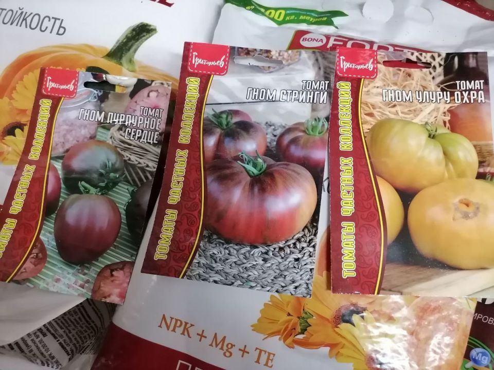 ������ ������� ������� ������� ���������� ���������