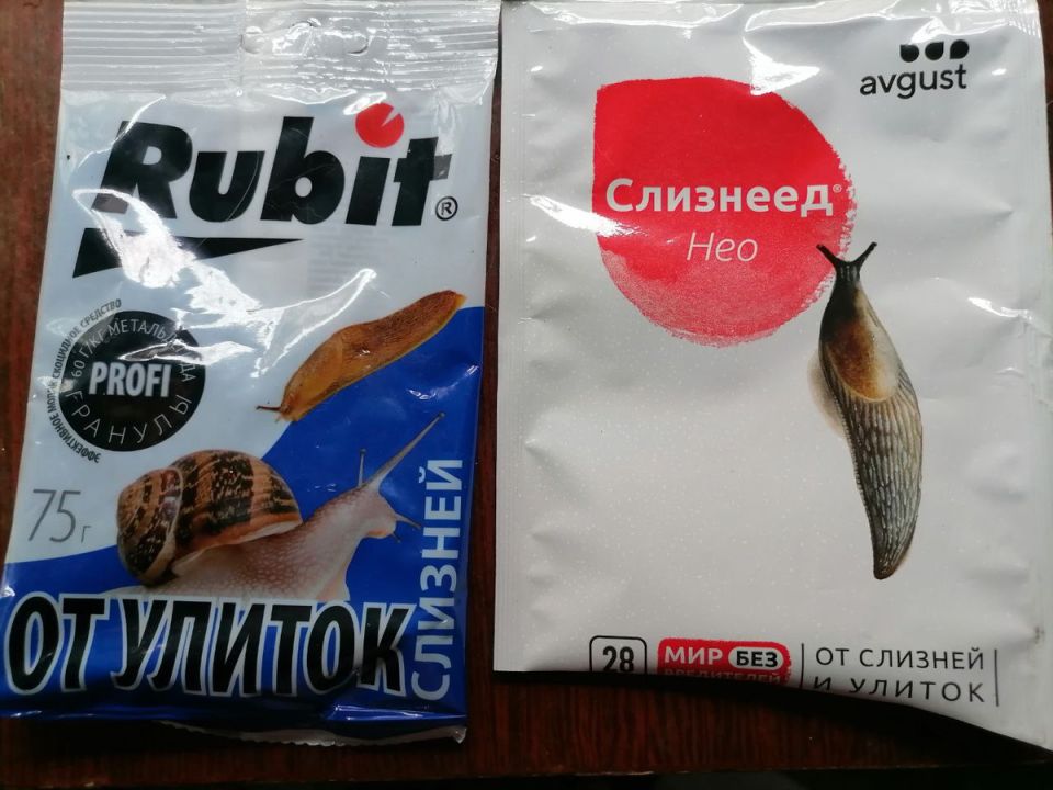 �������� � �������� � �������: ��� ���������� �� �������� � ���������