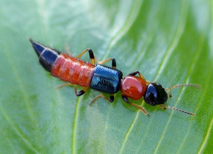 ������: ���������, � �������� ����� �� ������������