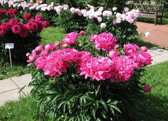 ������� � �����: ��� �������� ����� �� ���������� ������