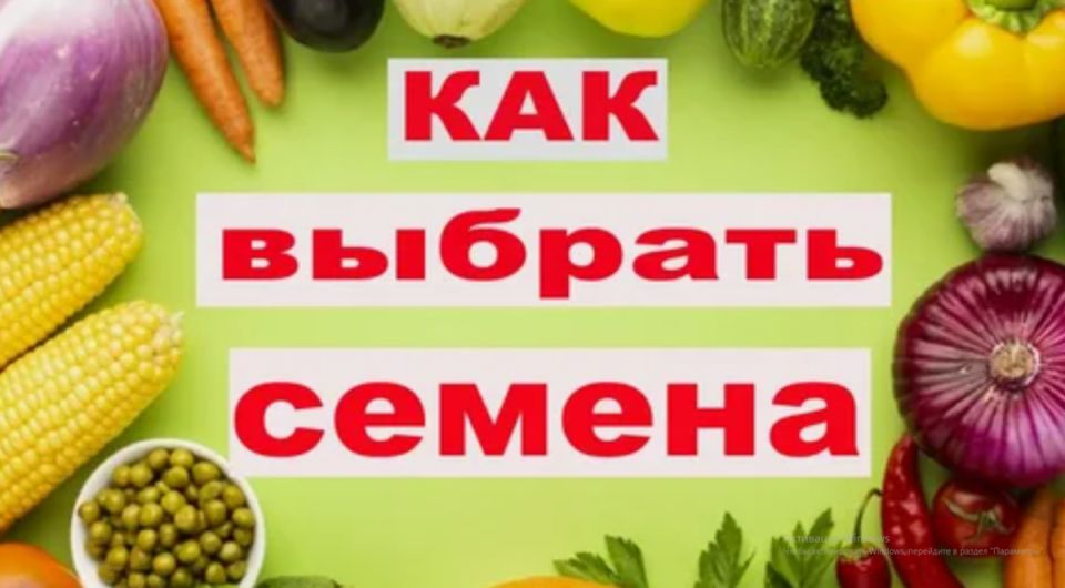 ��� ������� ������ � 2026 ����: ������������ �� ��������